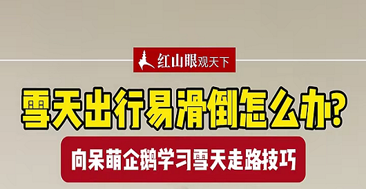 乌鲁木齐广播电视台:雪天出行易滑倒怎么办? 向呆萌企鹅学习雪天走路技巧