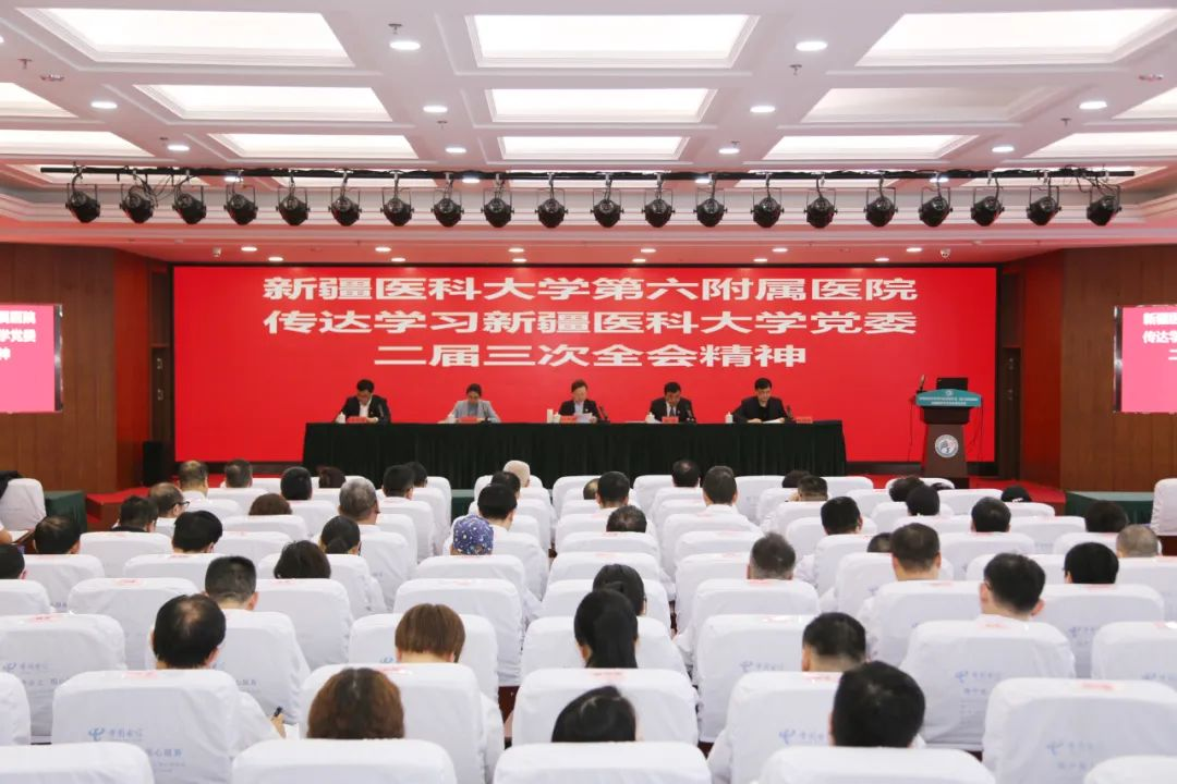 实干逐梦 奋勇争先 | 我院党委召开传达学习校党委二届三次全会、纪委二届二次全会精神专题会议暨2024年党风廉政建设工作会议