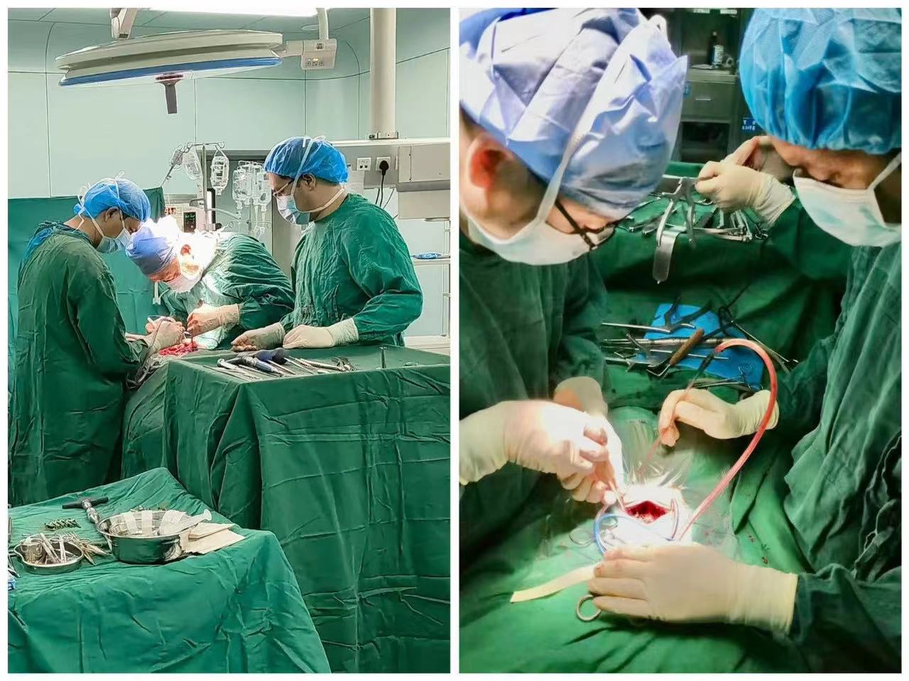 卯足干劲 奋发“兔”强|新医大六附院守护健康不停歇